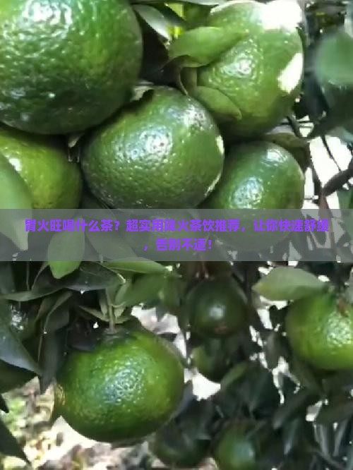 胃火旺喝什么茶