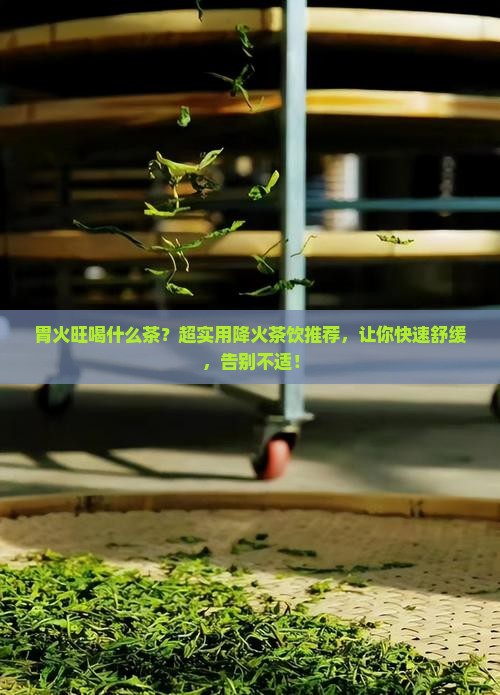 胃火旺喝什么茶
