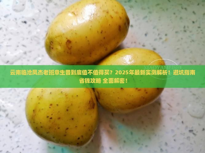 云南临沧凤杰老班章生普