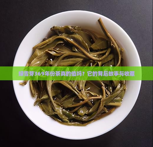 绿雪芽369年份茶