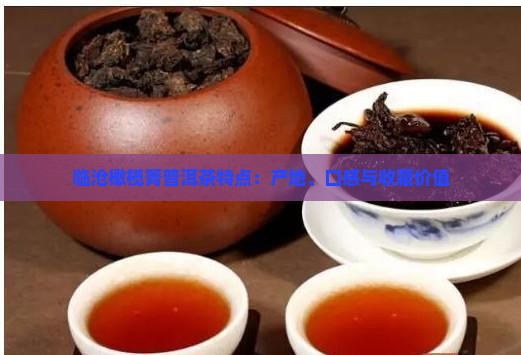 临沧橄榄箐普洱茶特点