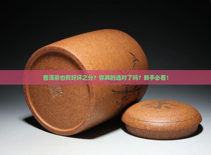普洱茶也有好坏之分