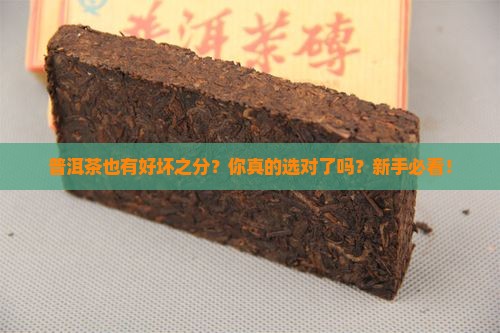 普洱茶也有好坏之分