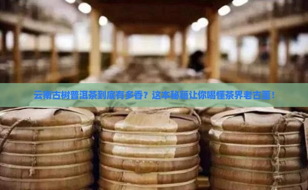 云南省古树普洱茶研究会