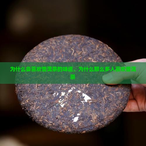 为什么会喜欢普洱茶的味道