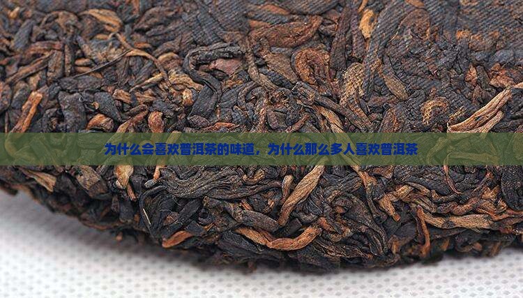 为什么会喜欢普洱茶的味道