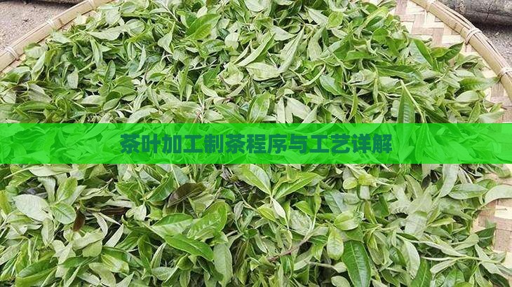 茶叶的加工方式