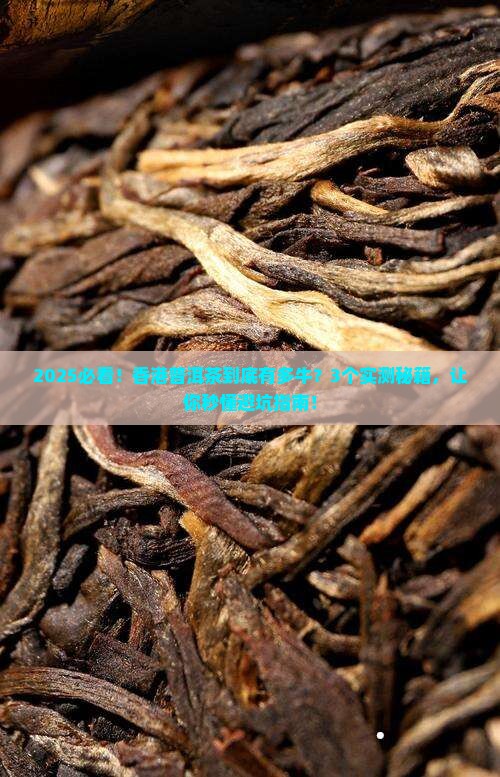 香港普洱茶有多厉害