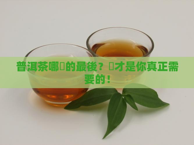 普洱茶哪裡的最後