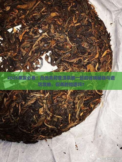 台地茶和普洱茶能放一起吗