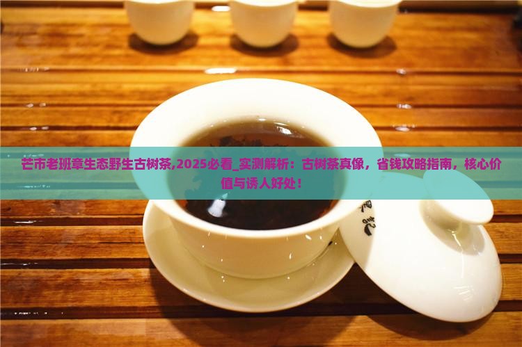 芒市老班章生态野生古树茶