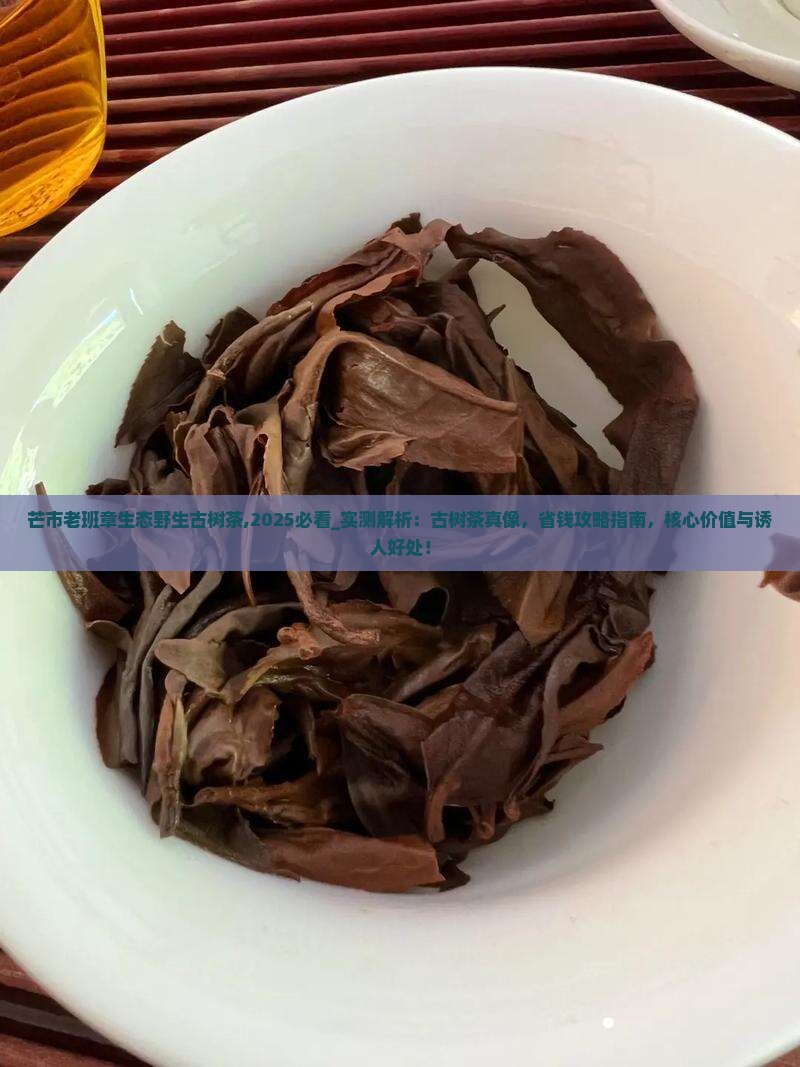 芒市老班章生态野生古树茶