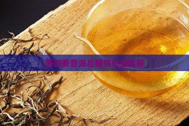 普洱茶各山头后期转化