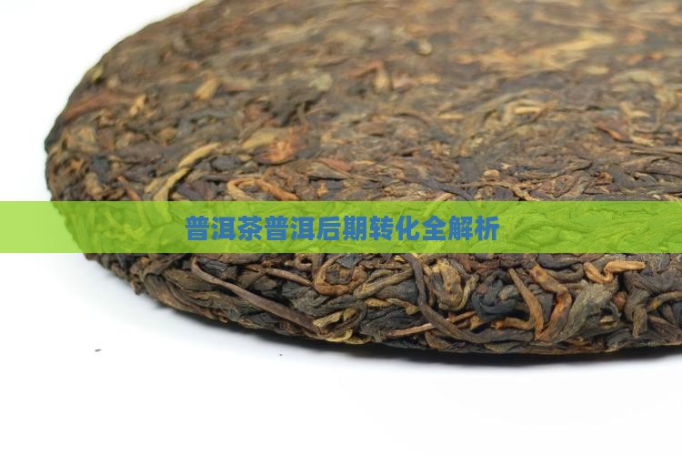 普洱茶各山头后期转化