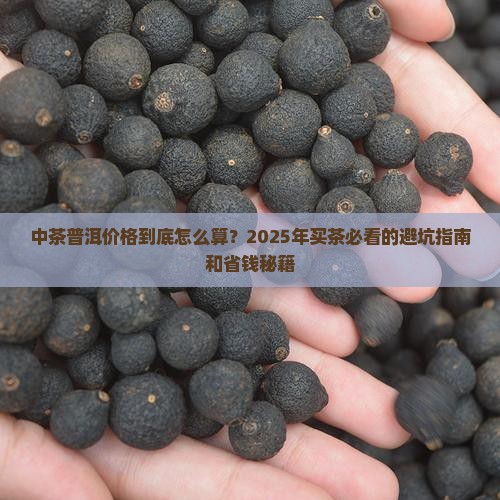 中茶普洱普洱茶官网价格