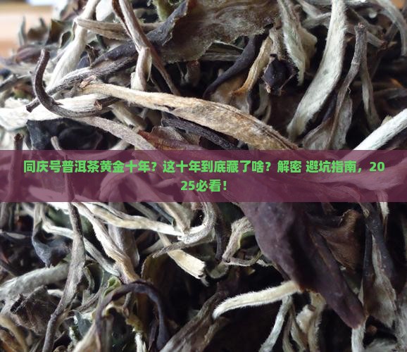 同庆号普洱茶国庆黄金十年