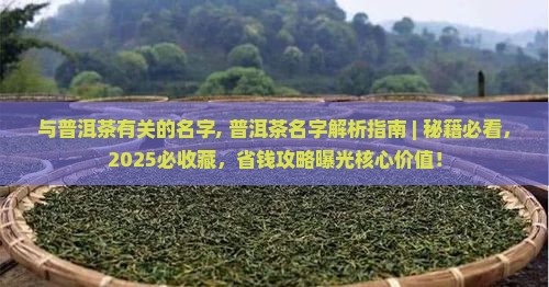 与普洱茶有关的名字