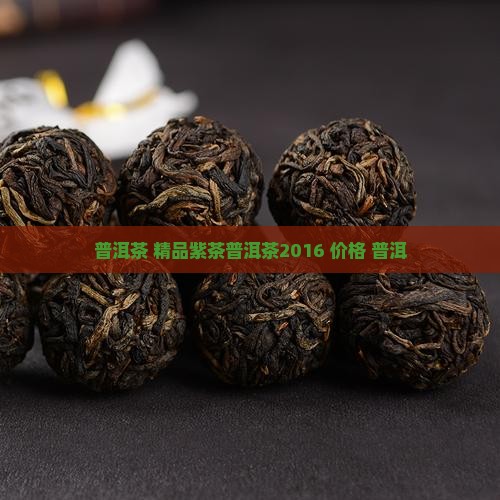 精品紫茶普洱茶2016
