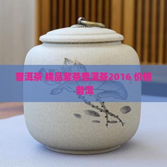 精品紫茶普洱茶2016