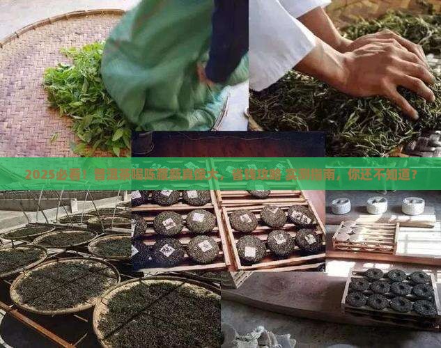 普洱茶喝陈藏新