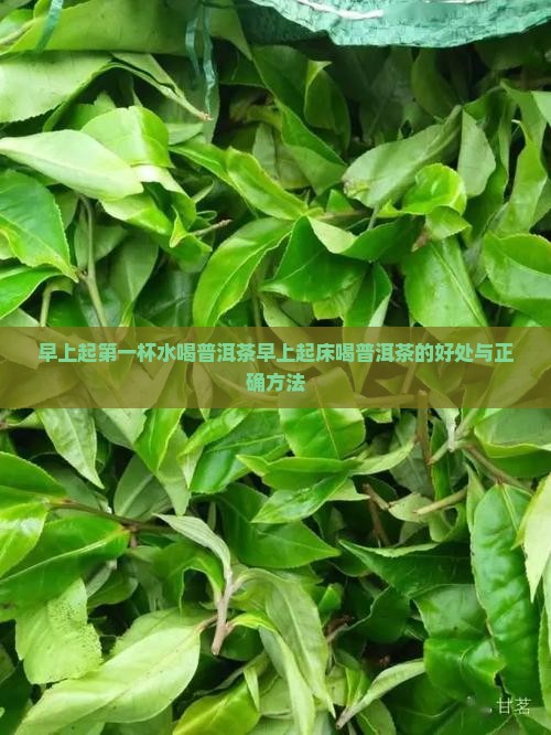 早上起第一杯水喝普洱茶