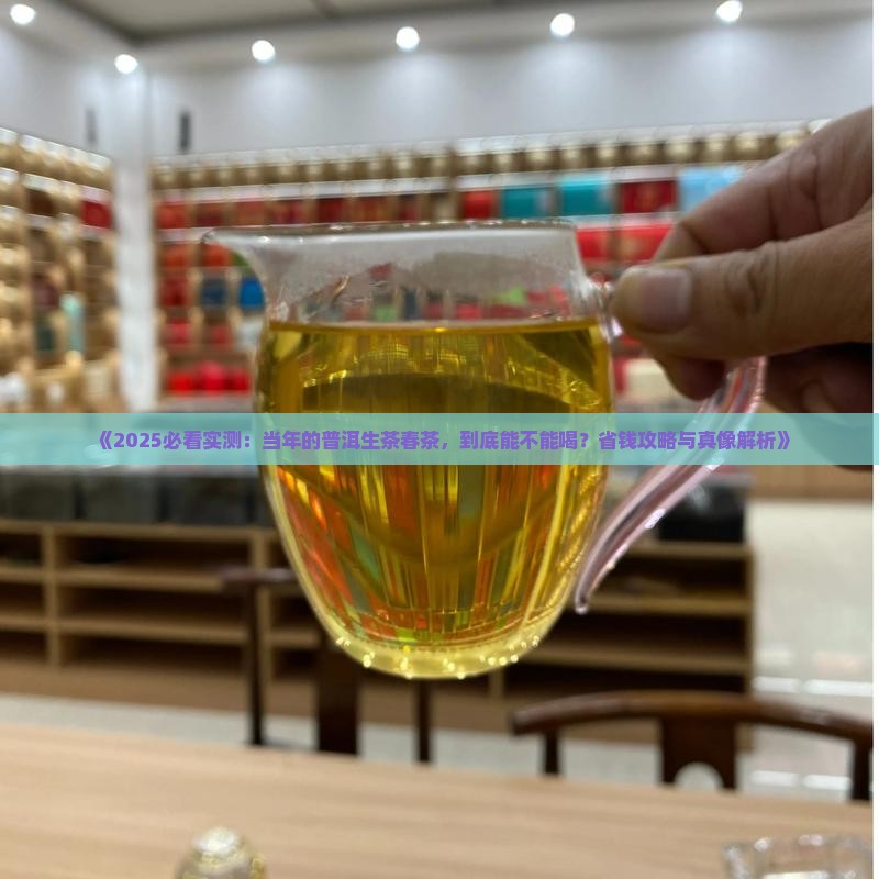 当年的普洱生茶春茶能喝吗