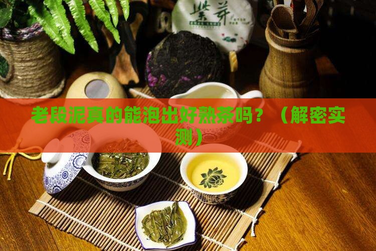 老段泥适合泡熟茶吗