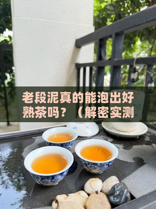 老段泥适合泡熟茶吗