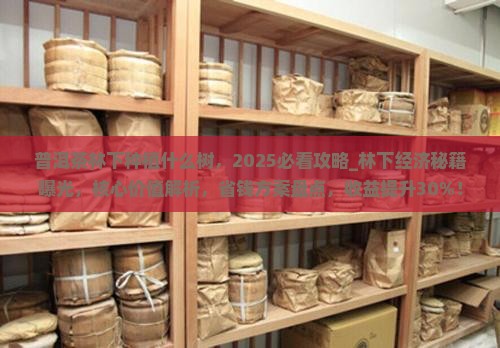 普洱茶林下种植什么树
