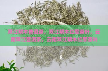 双江帮木普洱茶