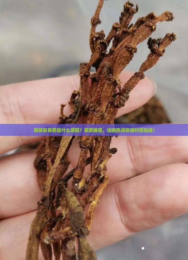 喝茶容易醉是什么原因