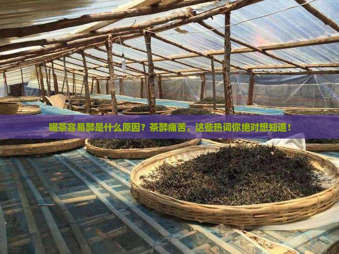 喝茶容易醉是什么原因