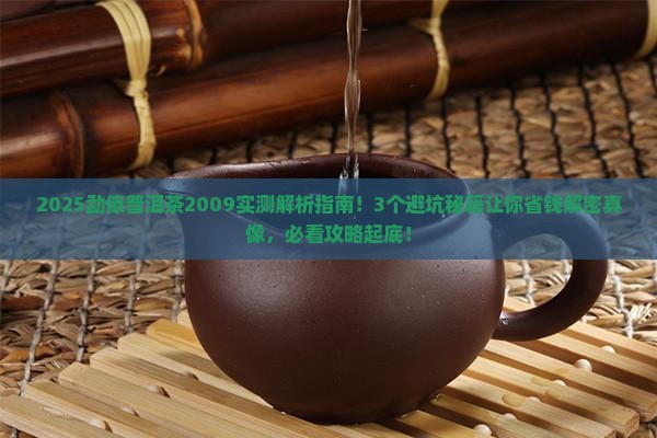 勐傣普洱茶2009