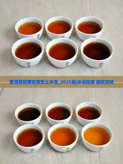 普洱茶和菊花茶怎么冲泡