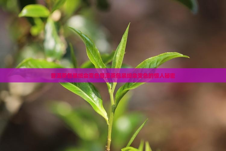 普洱茶包装纸会变色