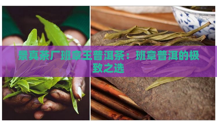 景真茶厂班章王普洱茶