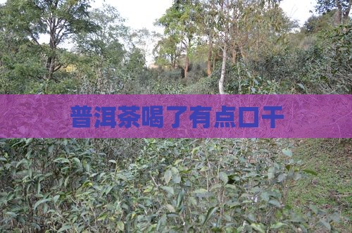 普洱茶喝了有点口干