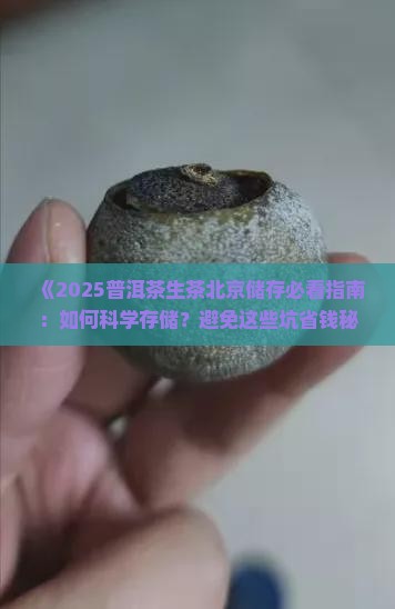 普洱茶生茶北京储存