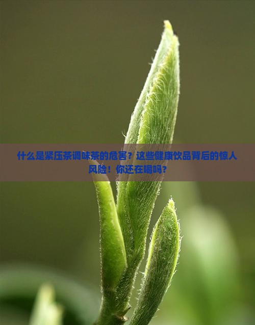 什么是紧压茶调味茶的危害