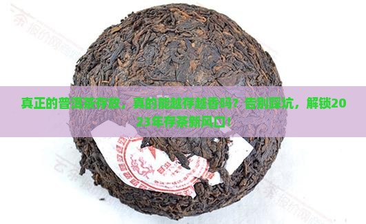 真正的普洱茶存放