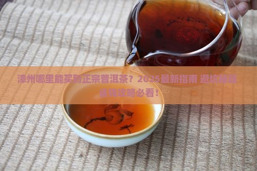 漳州哪里有卖普洱茶