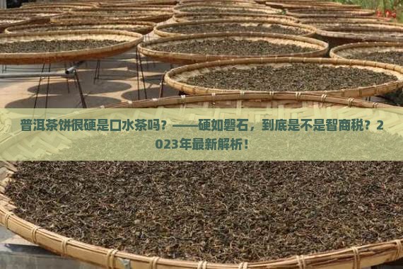 普洱茶饼很硬是口水茶吗
