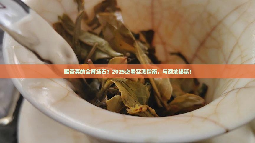 喝茶易患肾结石吗
