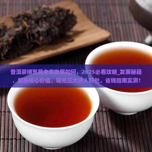 普洱茶博览苑未来发展如何