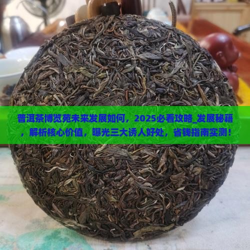 普洱茶博览苑未来发展如何