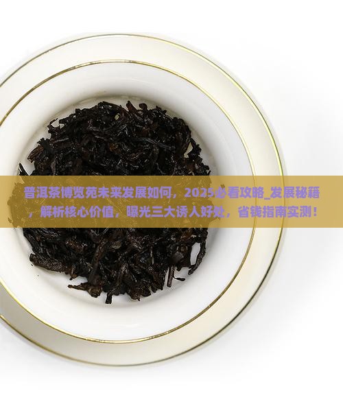 普洱茶博览苑未来发展如何