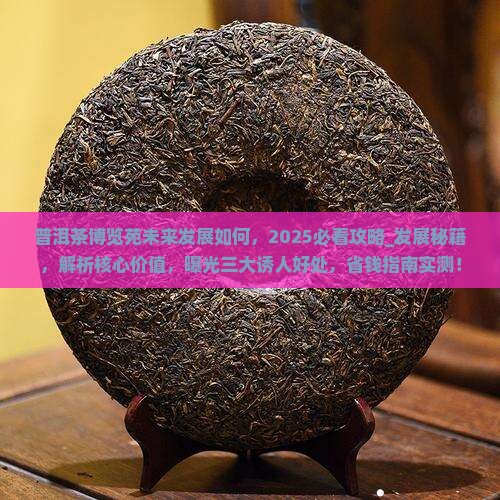 普洱茶博览苑未来发展如何