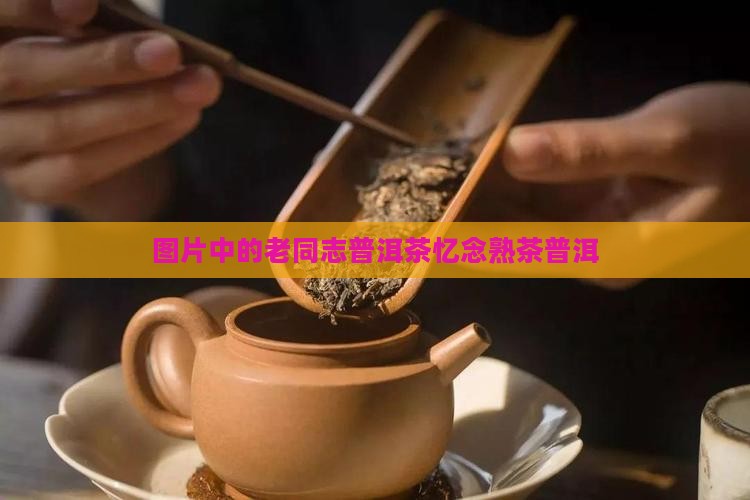老同志普洱茶忆念熟茶