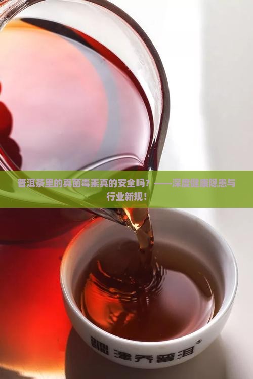 关于普洱茶的真菌毒素
