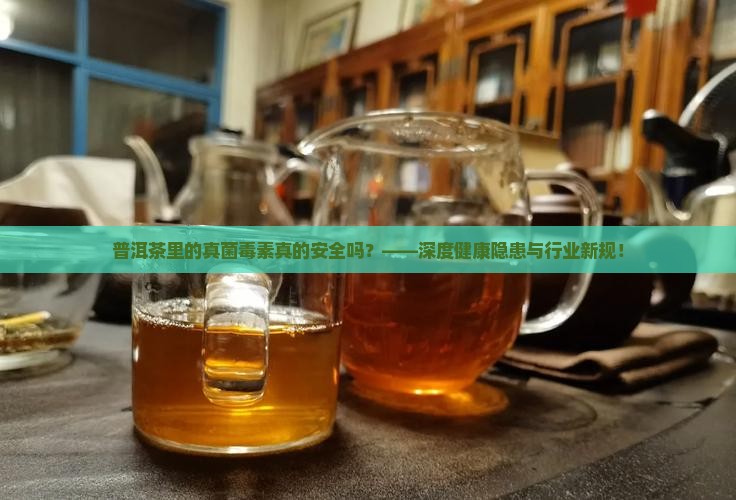 关于普洱茶的真菌毒素